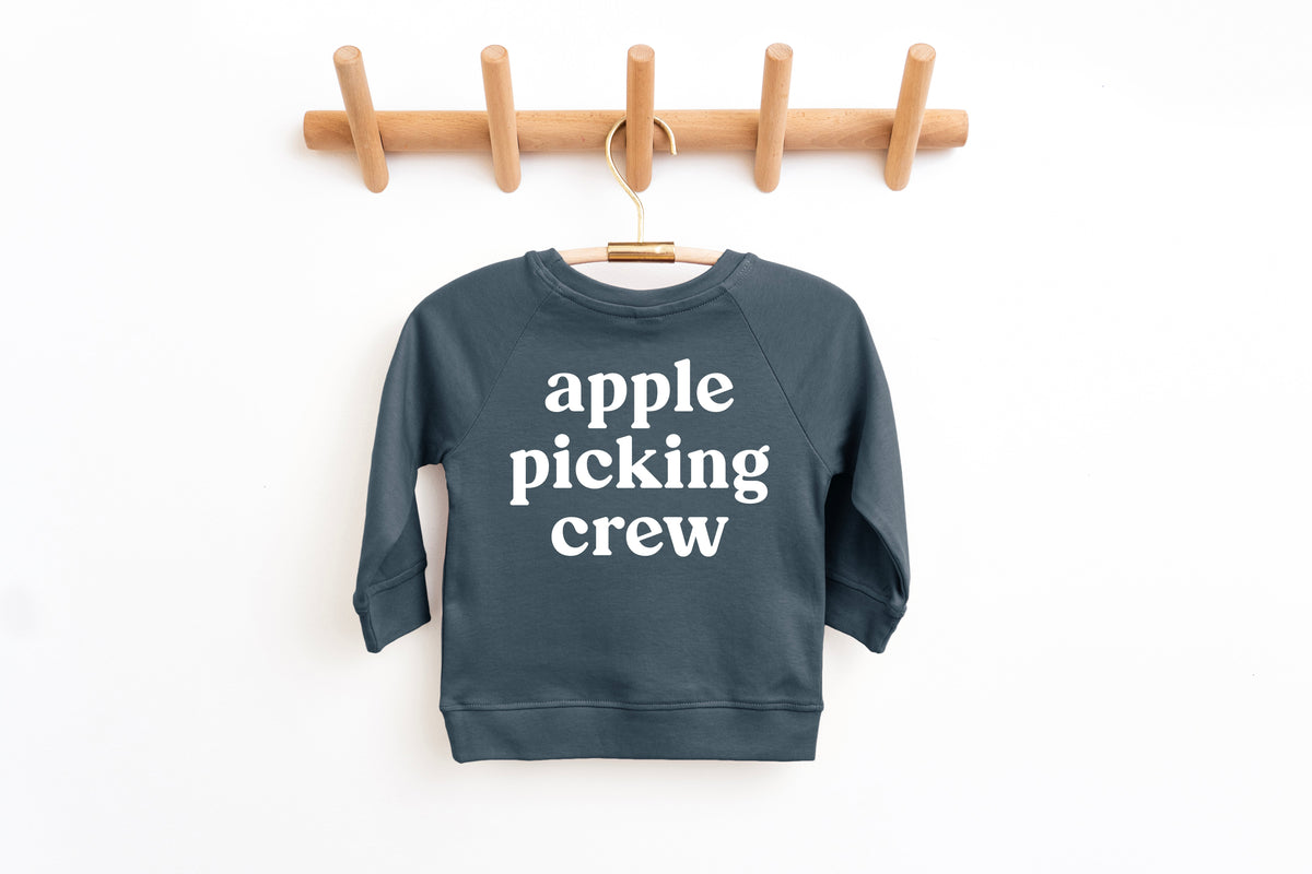 Organic Cotton Baby and Toddler Fall & Winter Pullover (3M to 6yrs)