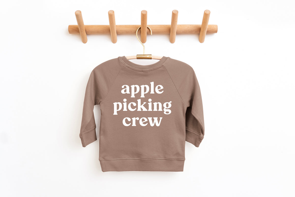 Organic Cotton Baby and Toddler Fall & Winter Pullover (3M to 6yrs)