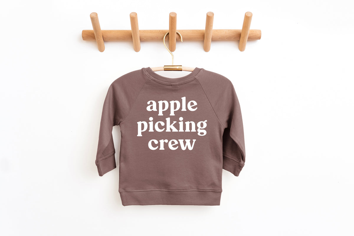 Organic Cotton Baby and Toddler Fall & Winter Pullover (3M to 6yrs)