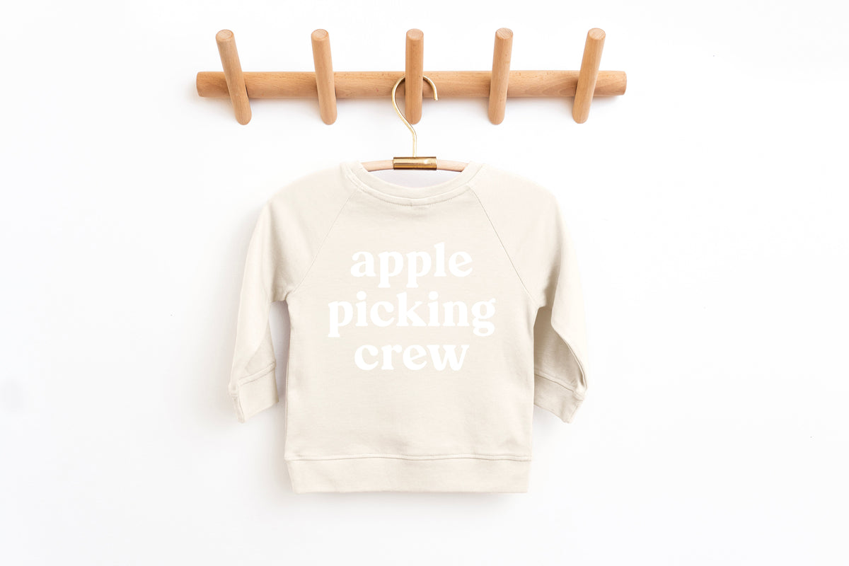 Organic Cotton Baby and Toddler Fall & Winter Pullover (3M to 6yrs)