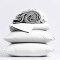 Queen size White 100% Certified Organic Cotton Sheet Set