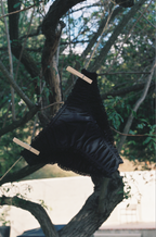 The black frilly panties - 100% organic pima cotton