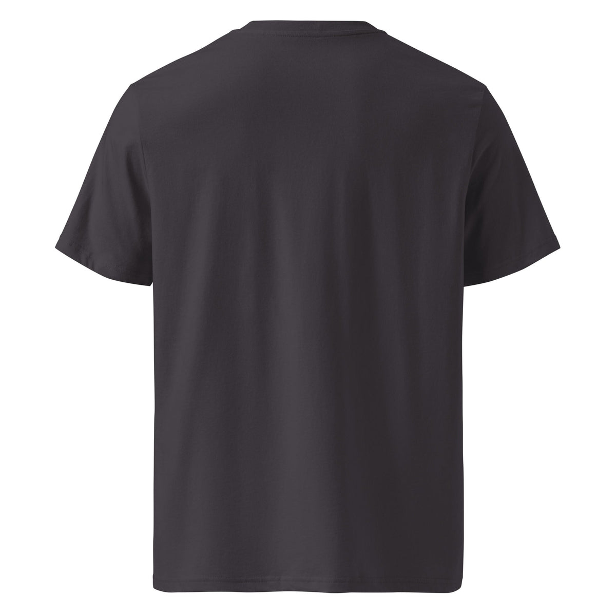Big Doin Life At Full Volume Let's GO! Women's Organic Cotton T-Shirt